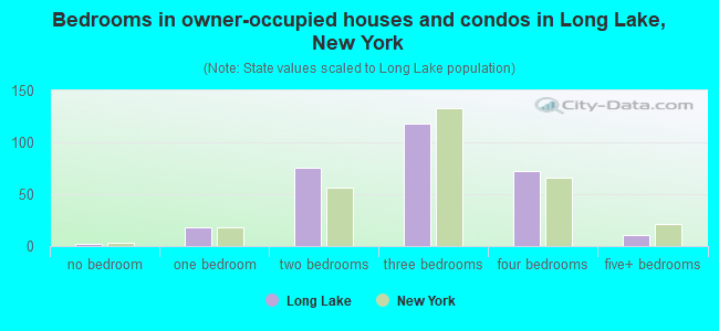 Bedrooms in owner-occupied houses and condos in Long Lake, New York