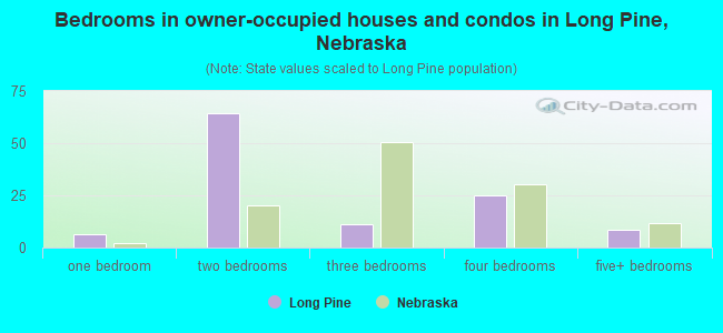 Bedrooms in owner-occupied houses and condos in Long Pine, Nebraska