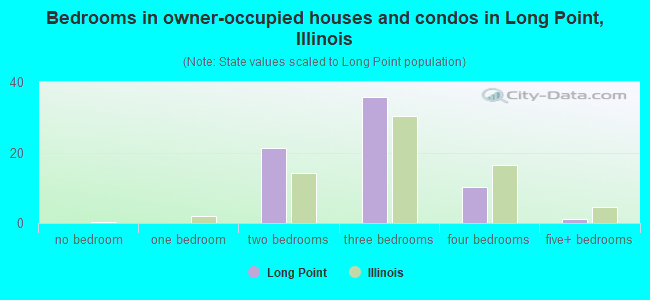 Bedrooms in owner-occupied houses and condos in Long Point, Illinois