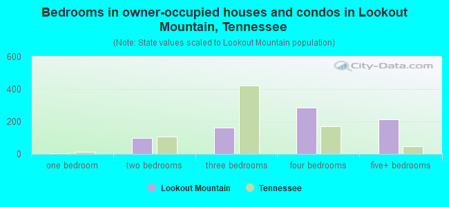 Bedrooms in owner-occupied houses and condos in Lookout Mountain, Tennessee