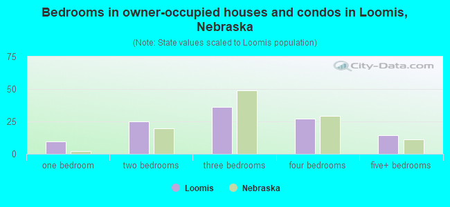 Bedrooms in owner-occupied houses and condos in Loomis, Nebraska