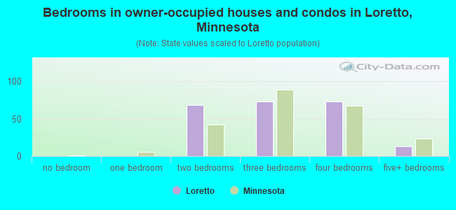 Bedrooms in owner-occupied houses and condos in Loretto, Minnesota