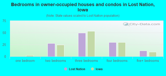 Bedrooms in owner-occupied houses and condos in Lost Nation, Iowa