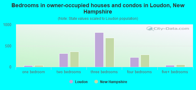 Bedrooms in owner-occupied houses and condos in Loudon, New Hampshire