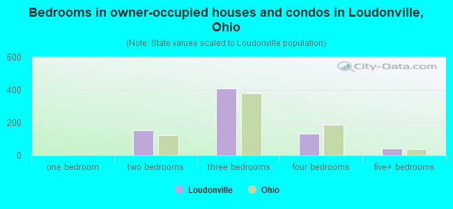 Bedrooms in owner-occupied houses and condos in Loudonville, Ohio