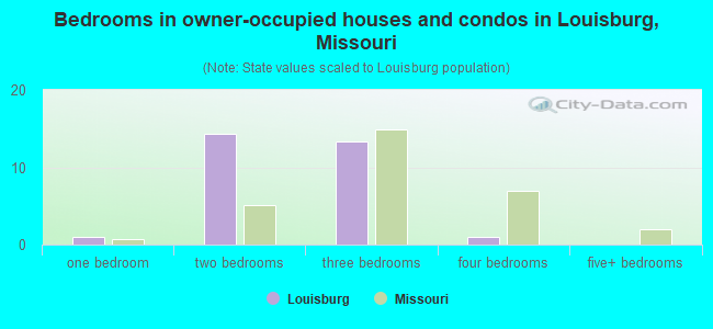 Bedrooms in owner-occupied houses and condos in Louisburg, Missouri