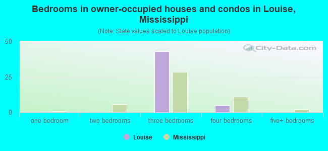 Bedrooms in owner-occupied houses and condos in Louise, Mississippi