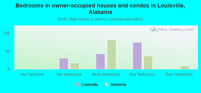 Bedrooms in owner-occupied houses and condos in Louisville, Alabama