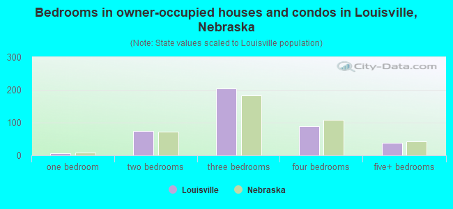 Bedrooms in owner-occupied houses and condos in Louisville, Nebraska