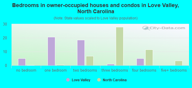 Bedrooms in owner-occupied houses and condos in Love Valley, North Carolina