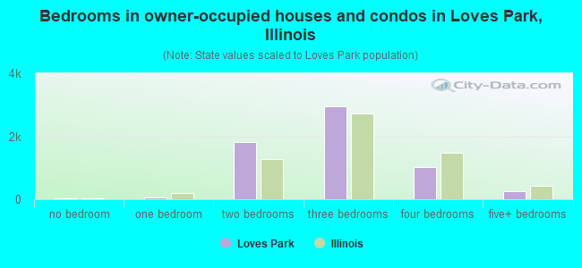Bedrooms in owner-occupied houses and condos in Loves Park, Illinois