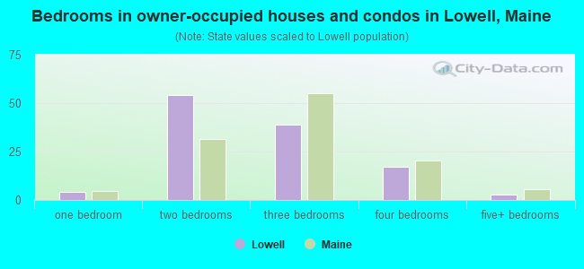 Bedrooms in owner-occupied houses and condos in Lowell, Maine