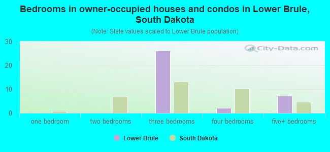 Bedrooms in owner-occupied houses and condos in Lower Brule, South Dakota