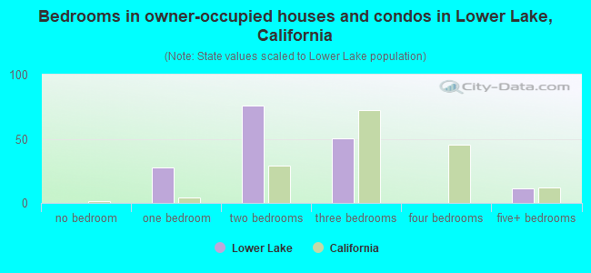 Bedrooms in owner-occupied houses and condos in Lower Lake, California