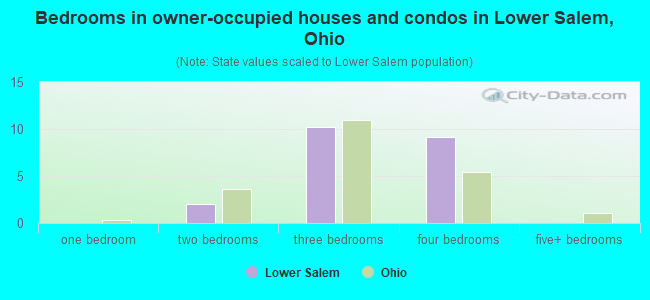 Bedrooms in owner-occupied houses and condos in Lower Salem, Ohio