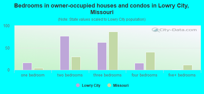 Bedrooms in owner-occupied houses and condos in Lowry City, Missouri