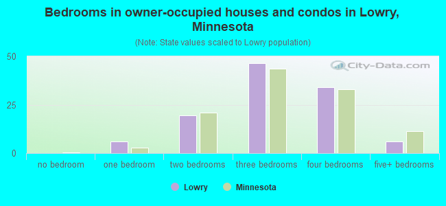 Bedrooms in owner-occupied houses and condos in Lowry, Minnesota