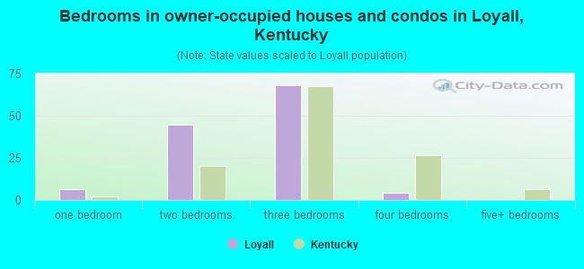 Bedrooms in owner-occupied houses and condos in Loyall, Kentucky