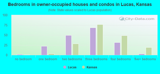 Bedrooms in owner-occupied houses and condos in Lucas, Kansas