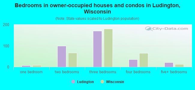 Bedrooms in owner-occupied houses and condos in Ludington, Wisconsin