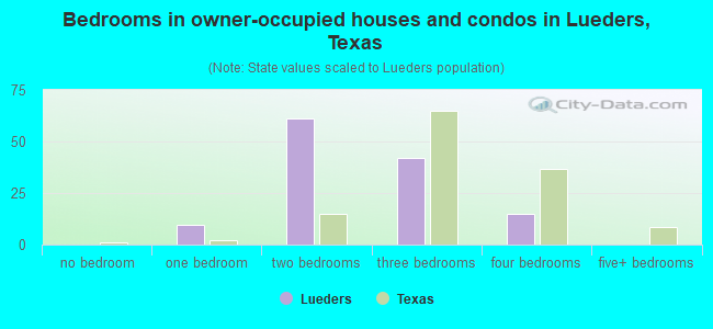 Bedrooms in owner-occupied houses and condos in Lueders, Texas