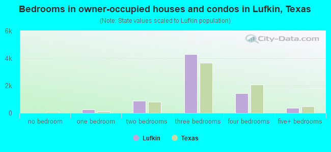 Bedrooms in owner-occupied houses and condos in Lufkin, Texas