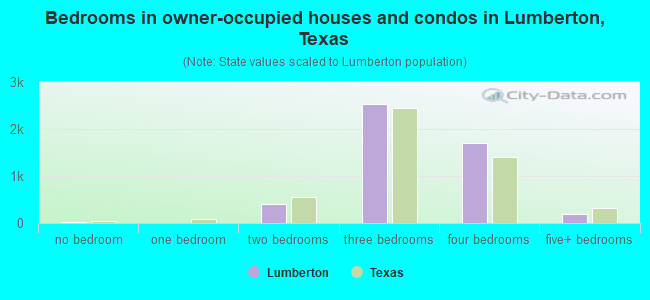 Bedrooms in owner-occupied houses and condos in Lumberton, Texas