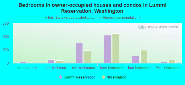 Bedrooms in owner-occupied houses and condos in Lummi Reservation, Washington