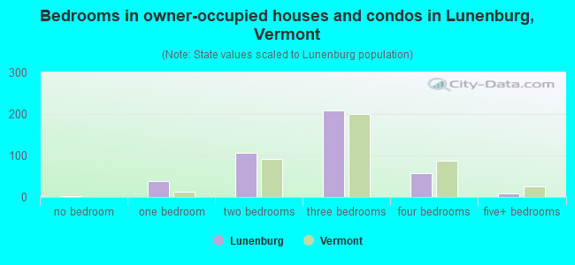 Bedrooms in owner-occupied houses and condos in Lunenburg, Vermont