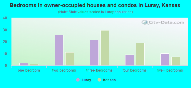 Bedrooms in owner-occupied houses and condos in Luray, Kansas