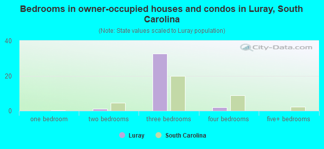 Bedrooms in owner-occupied houses and condos in Luray, South Carolina