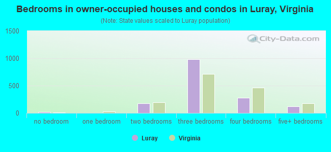 Bedrooms in owner-occupied houses and condos in Luray, Virginia