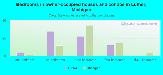 Bedrooms in owner-occupied houses and condos in Luther, Michigan