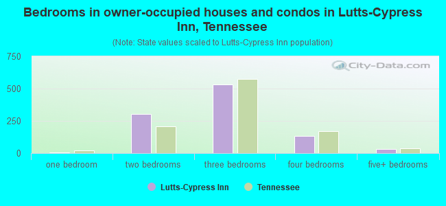 Bedrooms in owner-occupied houses and condos in Lutts-Cypress Inn, Tennessee