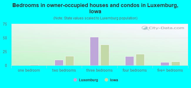 Bedrooms in owner-occupied houses and condos in Luxemburg, Iowa