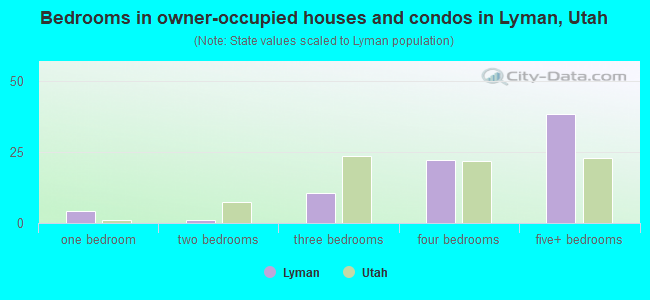 Bedrooms in owner-occupied houses and condos in Lyman, Utah