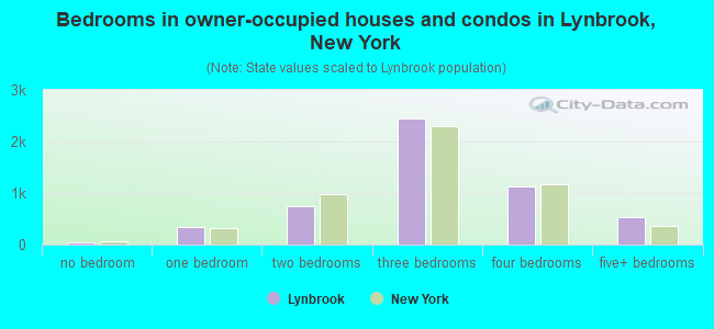 Bedrooms in owner-occupied houses and condos in Lynbrook, New York