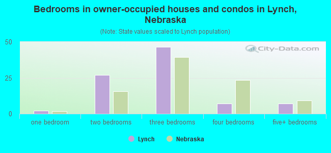 Bedrooms in owner-occupied houses and condos in Lynch, Nebraska