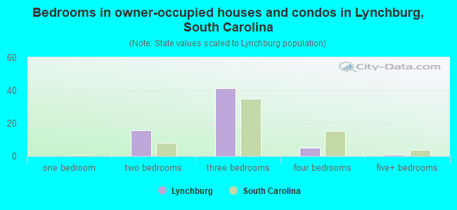 Bedrooms in owner-occupied houses and condos in Lynchburg, South Carolina