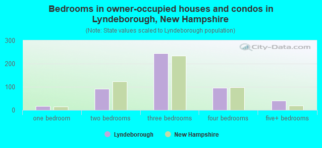 Bedrooms in owner-occupied houses and condos in Lyndeborough, New Hampshire