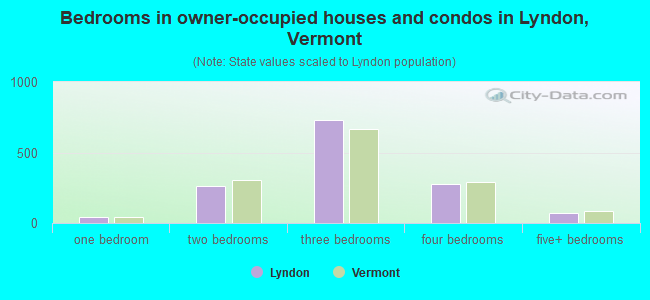 Bedrooms in owner-occupied houses and condos in Lyndon, Vermont