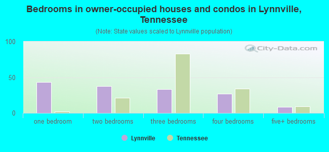 Bedrooms in owner-occupied houses and condos in Lynnville, Tennessee