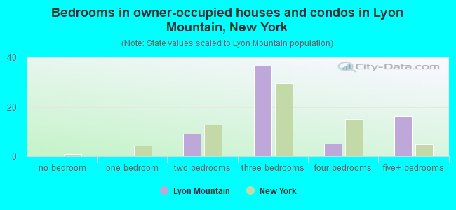 Bedrooms in owner-occupied houses and condos in Lyon Mountain, New York