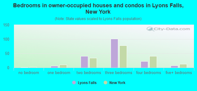 Bedrooms in owner-occupied houses and condos in Lyons Falls, New York