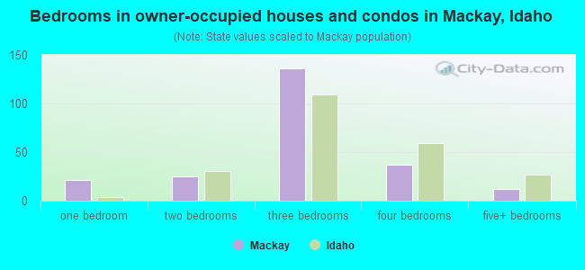Bedrooms in owner-occupied houses and condos in Mackay, Idaho