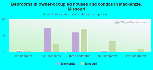 Bedrooms in owner-occupied houses and condos in Mackenzie, Missouri