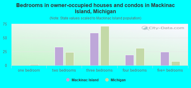 Bedrooms in owner-occupied houses and condos in Mackinac Island, Michigan