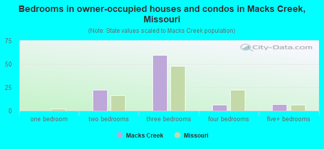 Bedrooms in owner-occupied houses and condos in Macks Creek, Missouri