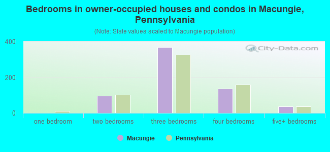 Bedrooms in owner-occupied houses and condos in Macungie, Pennsylvania