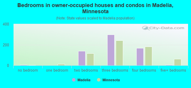 Bedrooms in owner-occupied houses and condos in Madelia, Minnesota